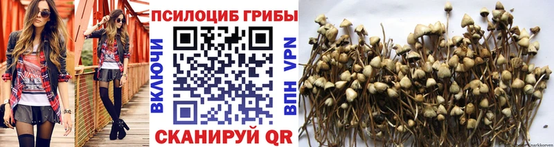 Галлюциногенные грибы GOLDEN TEACHER  Ковылкино 
